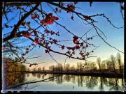 Top Badia Polesine Top Badia Polesine