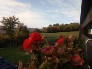 Top Mitocu Dragomirnei