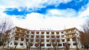 Top Leh