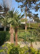 Top Deauville