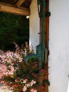 Top Neufchâtel-Hardelot