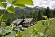 Baita Hanzel & Gretel by Livigno Accomodation
