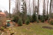 Top Sinaia