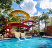 Golden dolphin express