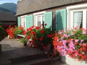 Apartment Sutterlüty