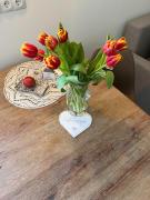 Top Westerland (Sylt)