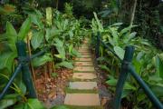 Top Wayanad