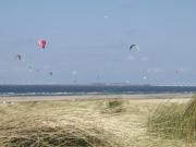 Top Vrouwenpolder