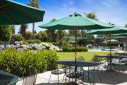 Top Sunnyvale