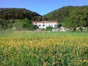 Top Supetarska Draga