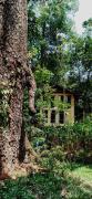Top Munnar Top Munnar