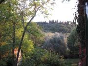 Top Fiesole