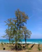 Top Kampong Gok Kapor