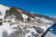 Top Wald im Pinzgau