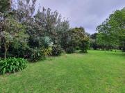 Top São Vicente Ferreira