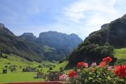 Top Weissbad