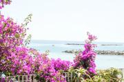 Top Sanremo