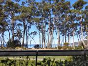 Sea Eagle at Roaring Beach