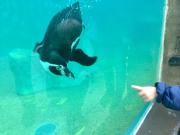 Domaine des Bois Argentés