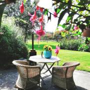 Top Bergen Top Bergen