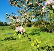 Top Bergen Top Bergen