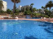 Top Playa de las Americas