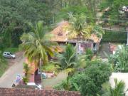 Top Alleppey