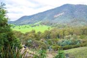 Top Eildon