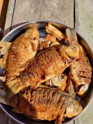 Top Mila Douăzeci şi Trei