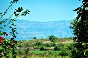 Top Mahabaleshwar