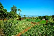 MERIDIAN AC VILLA - Besides Valley View & Strawberry Farms