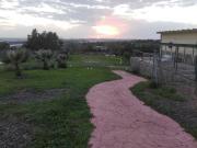 Top Merida