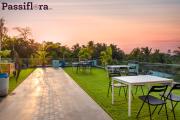 Top Alibaug