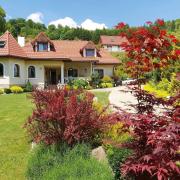 Top Polańczyk Top Polańczyk