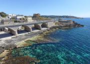 Top Leuca