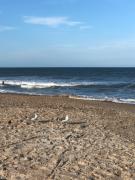 Beach bungalow at Ocean Village