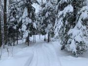 Chalet le Huard directement au bord du lac