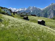 Top Grächen Top Grächen