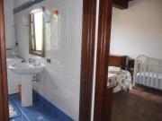 Top Amelia Top Amelia