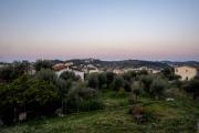 Top Sivota
