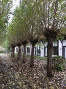 Vakantiewoning Kaviaar Vakantiewoning Kaviaar