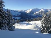 Top Westendorf