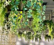 Top Rymań Top Rymań