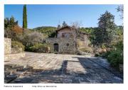 Fattoria Casamora - Villa La Nocciolina