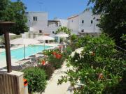 Top Spongano Top Spongano