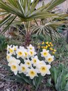 Residence Lenzenau Residence Lenzenau