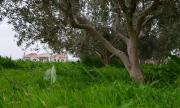 Top Alexandroupoli