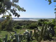 Top Benalup Casas Viejas