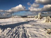 Top Loučná nad Desnou