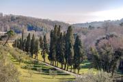 Rivo della Corte Rivo della Corte